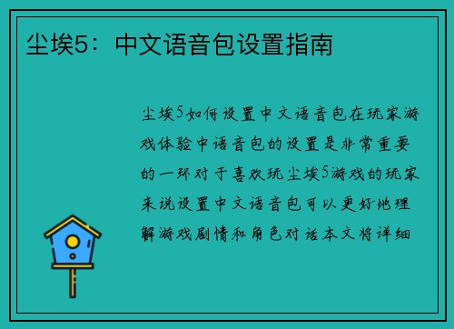 尘埃5：中文语音包设置指南