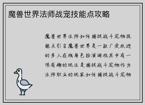 魔兽世界法师战宠技能点攻略